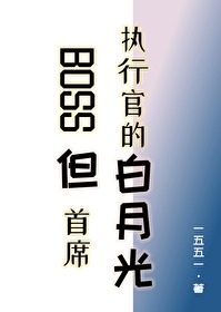 首席boss的圈套 小说