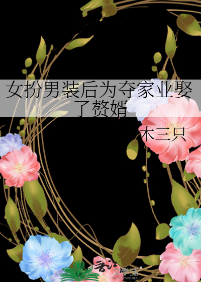 女扮男装后为夺家业娶了赘婿
