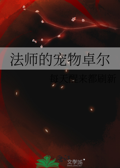 魔兽法师可以带宠物吗