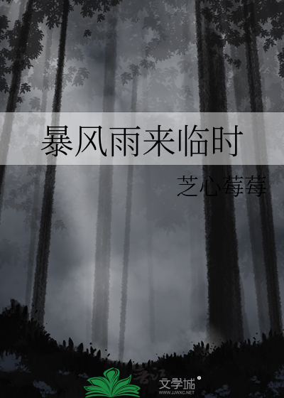 暴风雨来临时