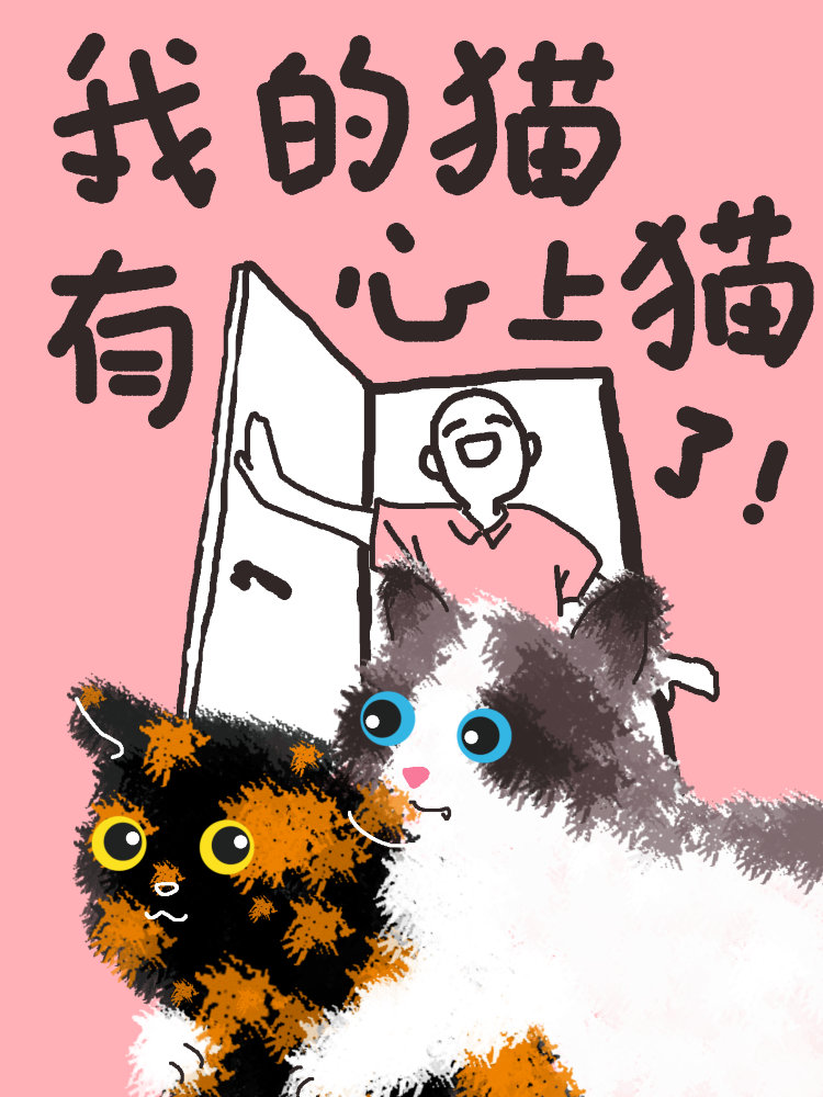 我的猫有心上猫了！