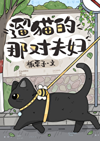 遛猫遛狗