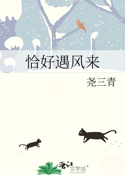恰好遇到是哪个词语的意思