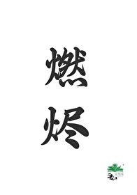 燃烬小说不下雨