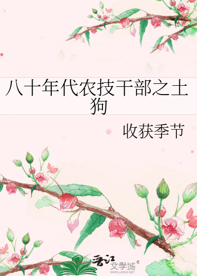 八十年代农家