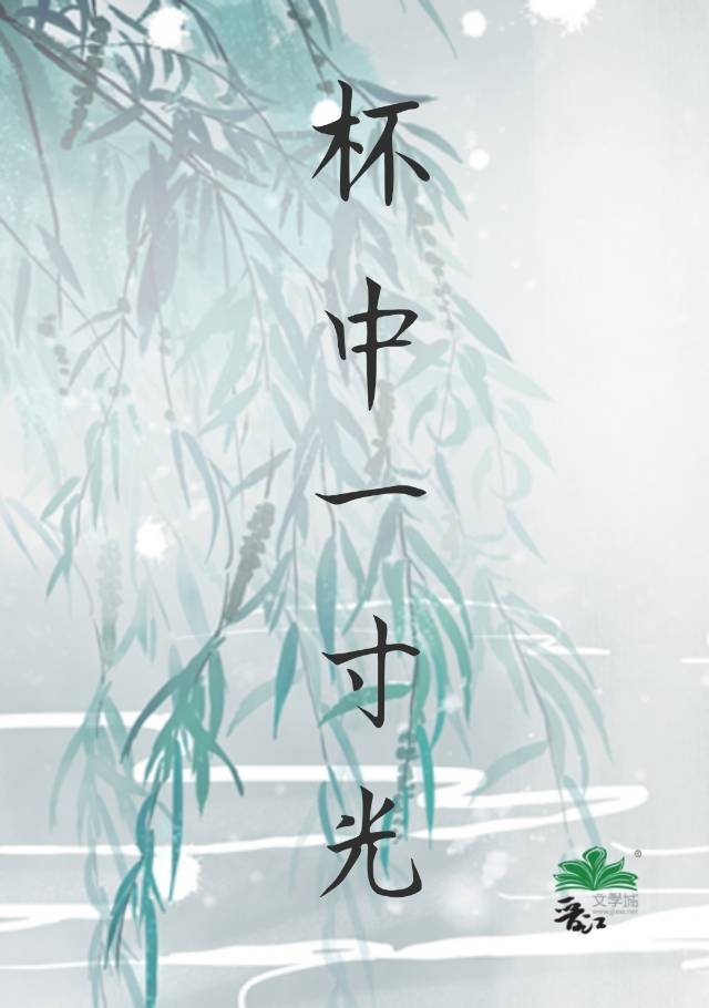 一寸光不可轻