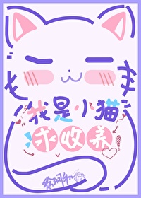 我要养小猫咪