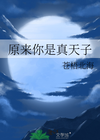 真名天子原来是你