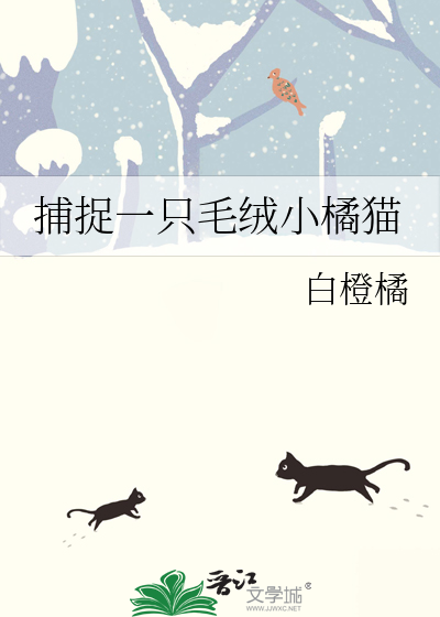 捕捉一只毛绒小橘猫的游戏