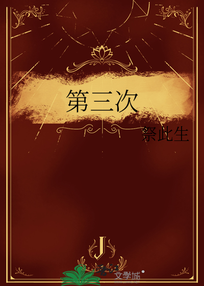 第三次战役