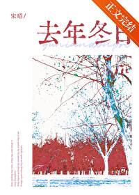 去年冬日小说宋昭晋江