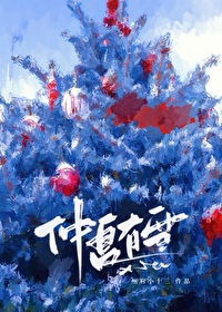 仲冬有夏 小说
