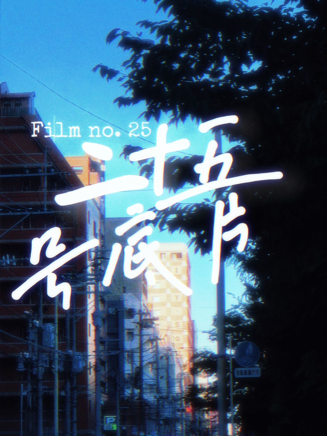 二十五号底片图片