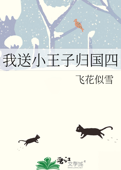 送小王子什么意思