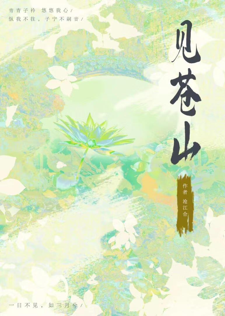 见苍山又见洱海