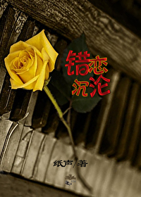 错误恋爱小说