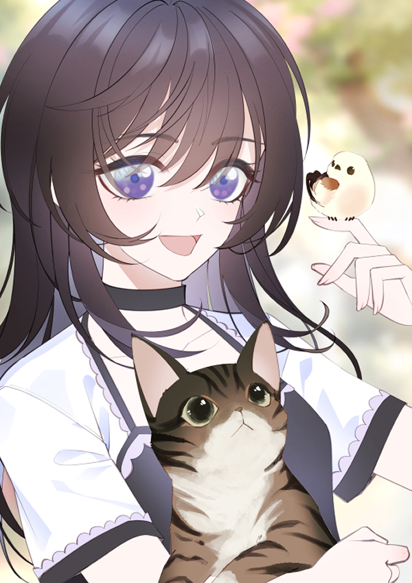 主角是毛茸茸