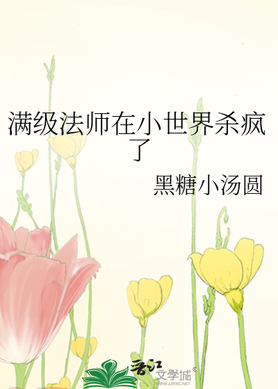 满级法师重回新手