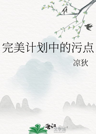 完美计划 下载