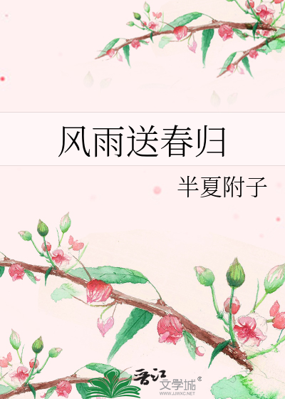 风雨送春归剧情介绍40集