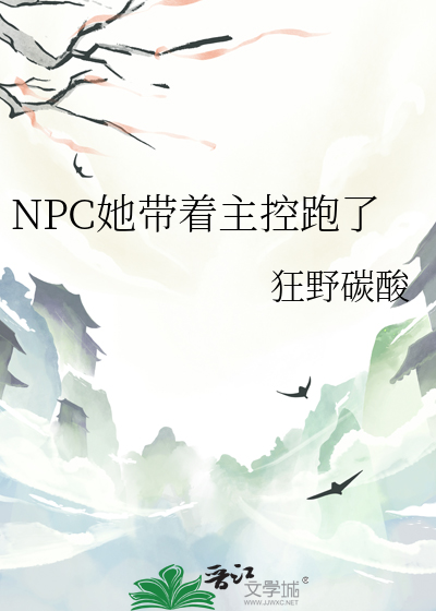 npc我引领女