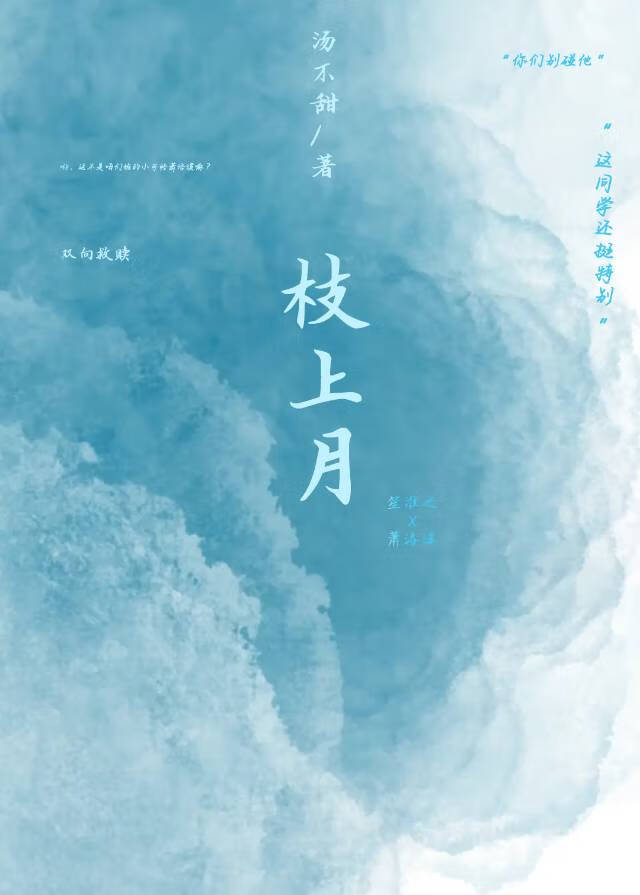 枝上月