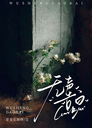 无声告白小说阅读