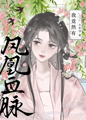 有关凤凰血脉的小说